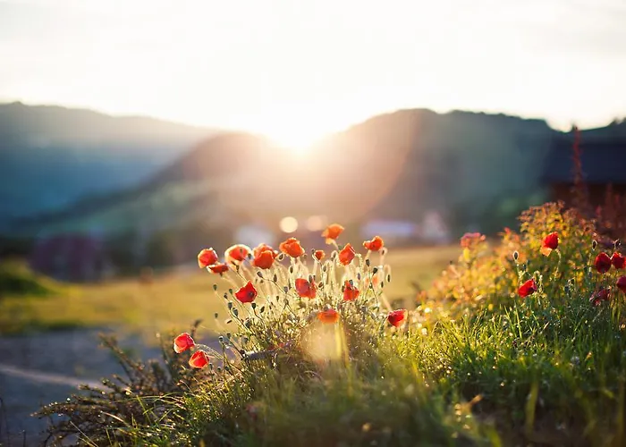 Apia Lejlighed Piwniczna-Zdroj